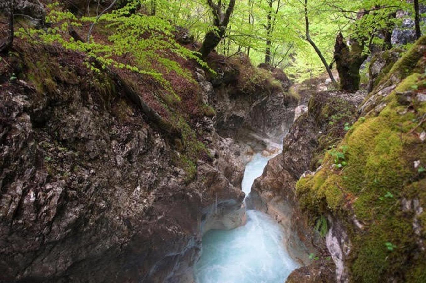 Apartma Maja Kobarid Bagian luar foto